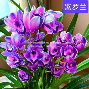 �ͺ��͟���B�m���ļ��_�������ͽ��m�҃�ޥ�m���ԾGֲ����