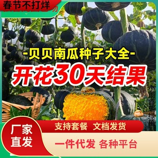 һ�����l�Gؐؐ�ϹϷN�������ζС�ϹϷN���۱�����߮a�߲�