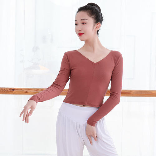 Chinese Dance Costume for Women Adult Long Sleeve V-Neck Latin Dance Dress Ballet Modern Dance Top for Teachers Art Exam