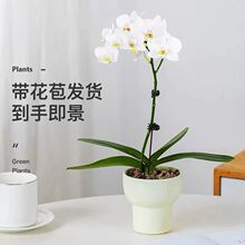 �����m���ռ��p���������҃��ļ����B������������������