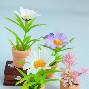 ���յ��� һ��С�� 6��8��OB11 bJD BLYTHE����������΢�sģ��