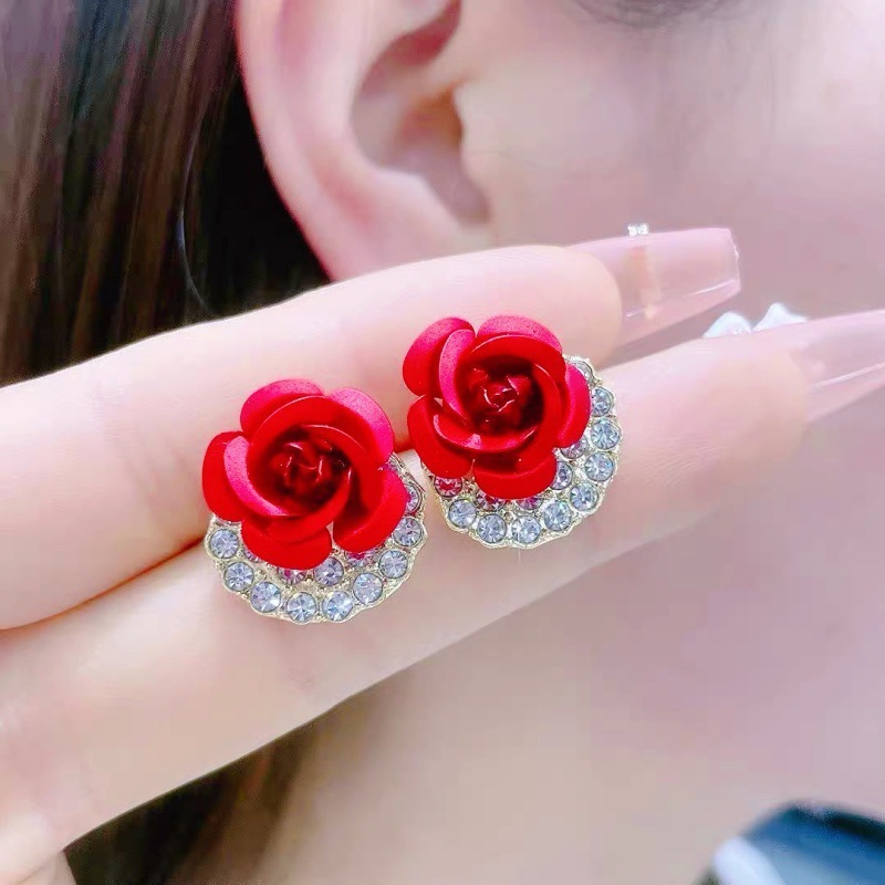 Elegant fashionable earrings