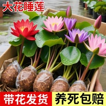 ˮ��ֲ��˯ɏ�����҃Ȼ����B�ļ��ɲ��ɻ���ɏ��ˮ�B�ɻ����Կ͏d