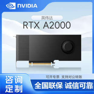 NVIDIA NVIDIA RTX A2000 6G Graphics GPU