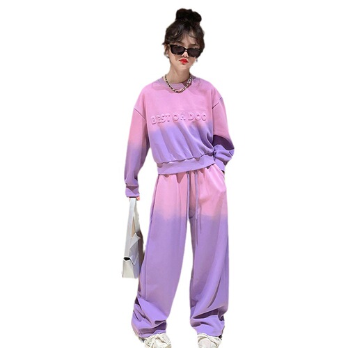 Girls sports suits spring 2024 new children's sweatshirts wide-leg pants two-piece set boys jazz dance trendy clothes