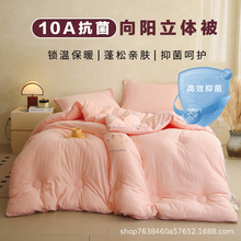 A类大豆纤维被子被芯冬被加厚保暖丝棉被秋冬季学生宿舍斤棉被