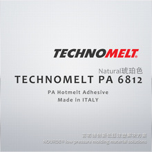 汉高TECHNOMELT PA 6812 出色耐高温性能