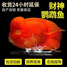 ��ؔ�~Մˮ�~�^�p�~���~�t�W�^�~ؔ���~�W�^�~�lؔ�~̨��ؔ��Ԫ��