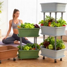 �̨�N���茣������ô�̖�߲˷Nֲ�����w�L���μӺ����ϻ���N��