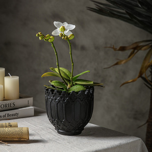 �l�G���ⱱ�W�͹�͸�⻨��G�}��������m����ˮ�໨�����l