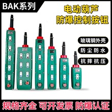 ���ؙC��܇����늄Ӻ��J�����ֱ��������o�_�PBAK21/31/41/51/71