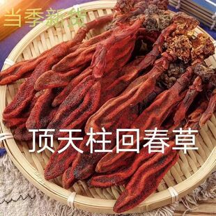 ��ϼ��ش��ݺ����вݲ��ϲ����r���؛�ݾƻش��ݻش����ݲ�