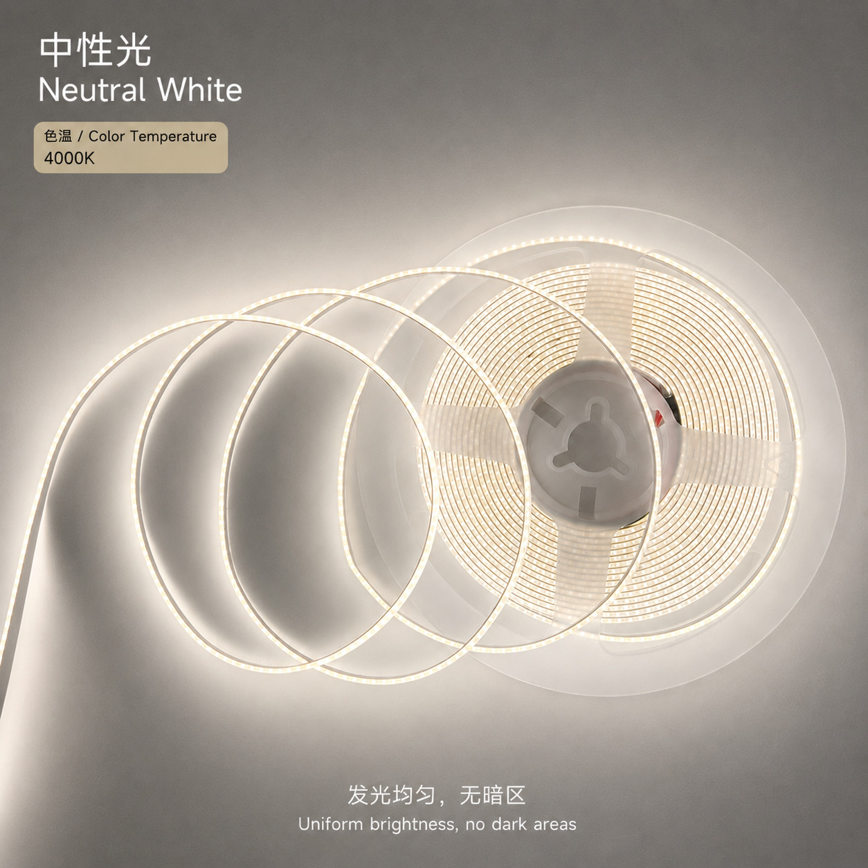 Tira de Luz LED COB Flexible 3mm/5mm/8mm 12V/24V, Autoadhesiva para Armarios e Interior image 8