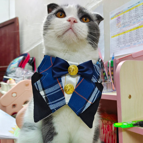 Cross-border new pet cat and dog suit, gentleman wedding, spit cloth, bow tie, triangle scarf, Korean Japanese style, Instagram