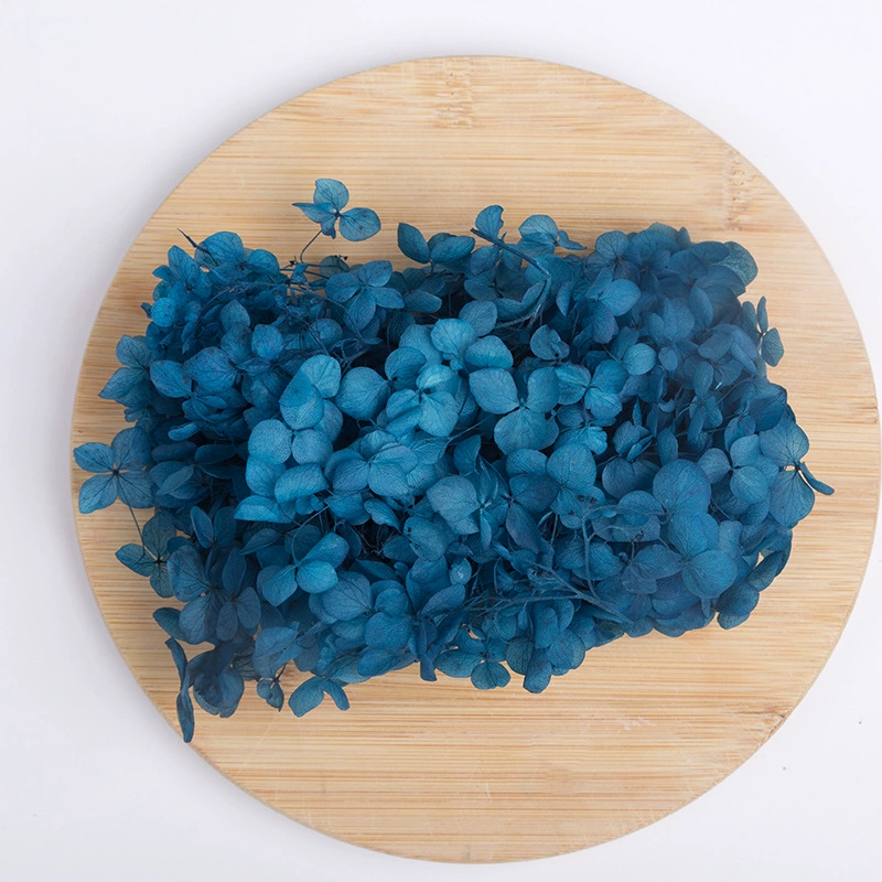 Вечный цветок Сухоцветная коробка Анна Гранди Hydrangea посыпанные лепестки цветов для лица свадьбы оформление Цветочный стиль