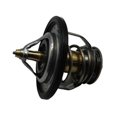 Thermostat for Hyundai Kia