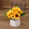 Brown fat sunflower white butterfly