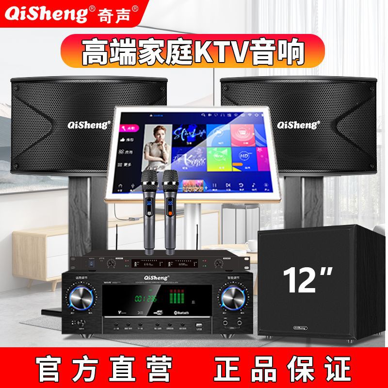 Qisheng Home Ktv Audio Set Home Tv Karaoke Dance Conference Room Speaker Full Set Combination Living Room Luxury