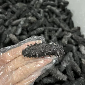 [厂家批发 多种规格 淡干海参老淡干海参 品质保障长岛野生海参]