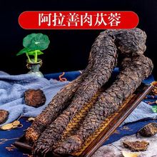 ��ɐ��500�˃��ɹŰ�����ܛ֧��������Ƭ��ɐ�ش�ܿ�������a��ˮ