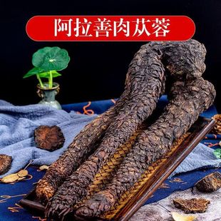 ��ɐ��500�˃��ɹŰ�����ܛ֧��������Ƭ��ɐ�ش�ܿ�������a��ˮ