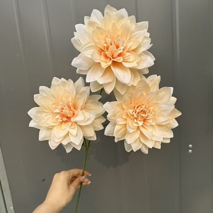 샴페인