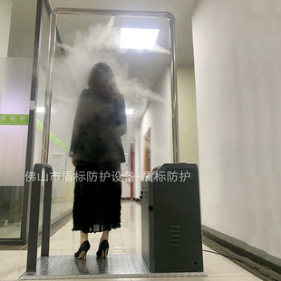 Casual Model. Fully Automatic Personnel Disinfection Channel Farm Inlet and Out Spray to Kill Long-distance Temperature Measurement Security Door