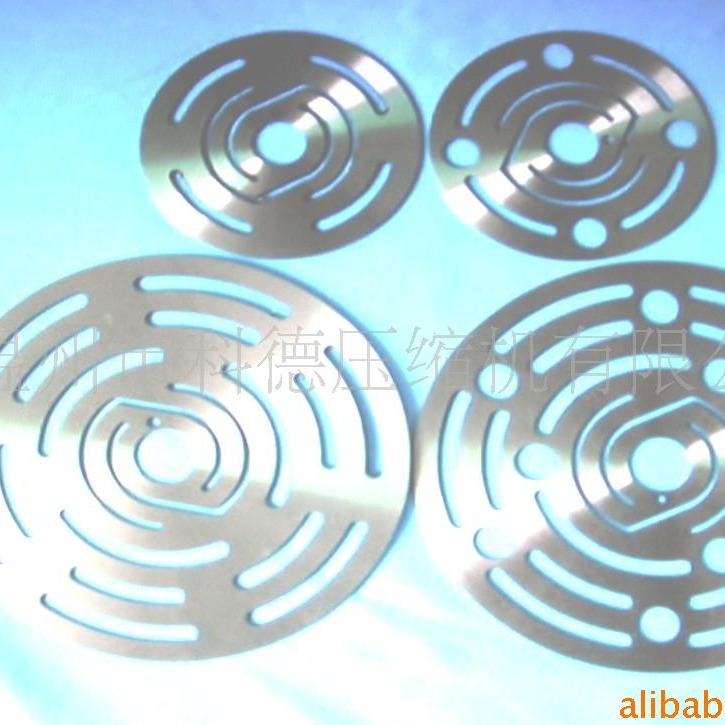 专业生产,供应进气阀片,排气阀片,环状,环形.网形.网状等阀片