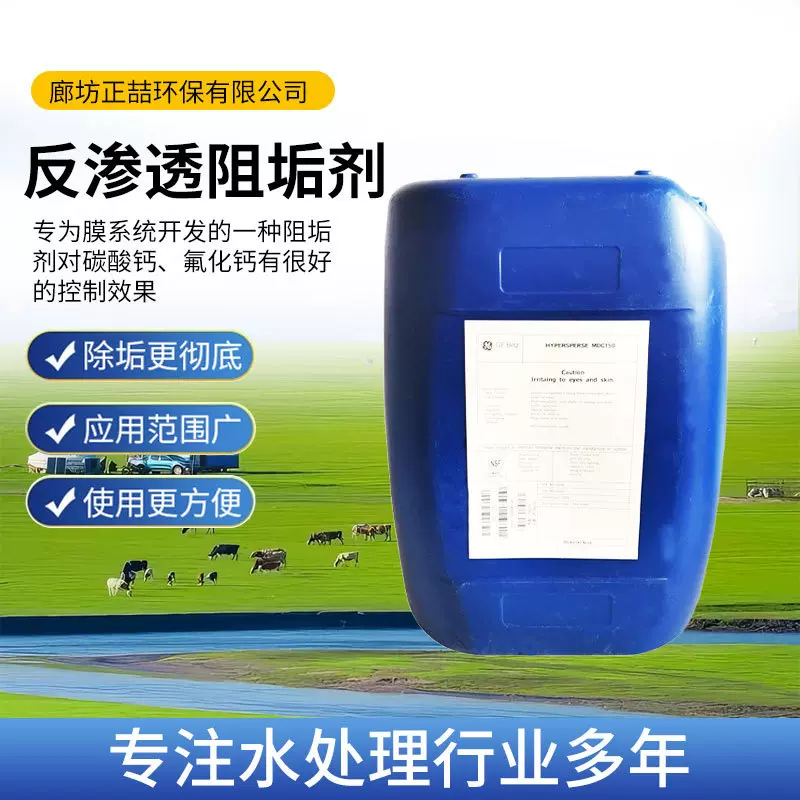 反渗透阻垢剂高效抑制膜结垢提高产水量延长设备使用寿命