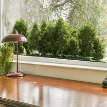 �ۿ�JD3906С���¾Gɫ���ֲ����N ��ش����_��ֲ���b��o��N��