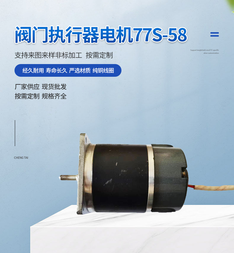 阀门执行器电机77S-58 (2)