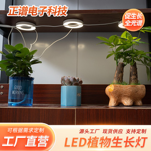 Flower stand plant potted fleshy flower full spectrum ceiling plant atmosphere fill light multi-specification plant light in stock