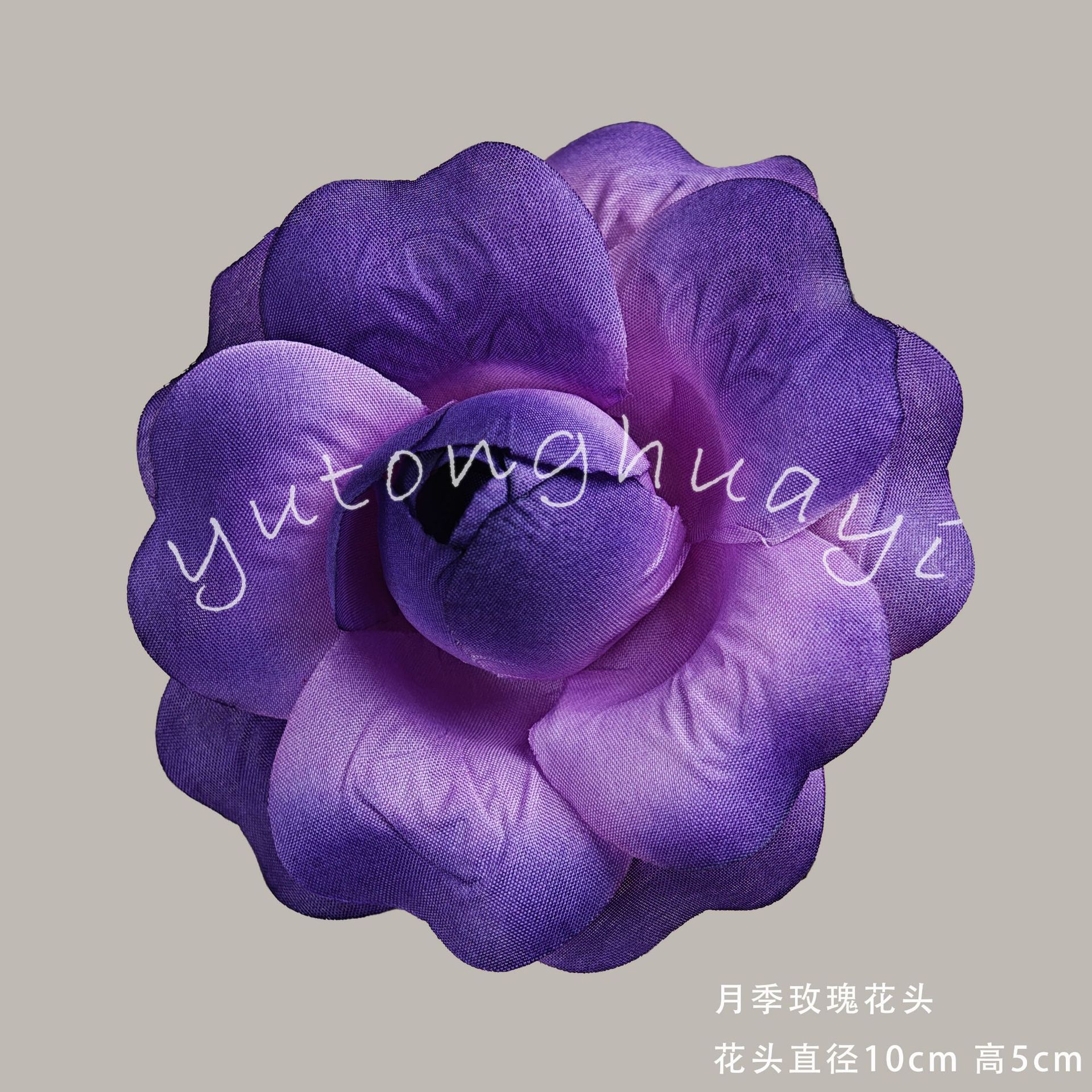 Rose flowers-dark purple