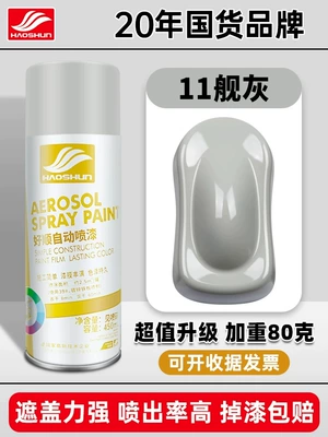Matte Hand-Shaken Spray Paint Can, Avtomobil boyası - ship-gray-450mlbottle