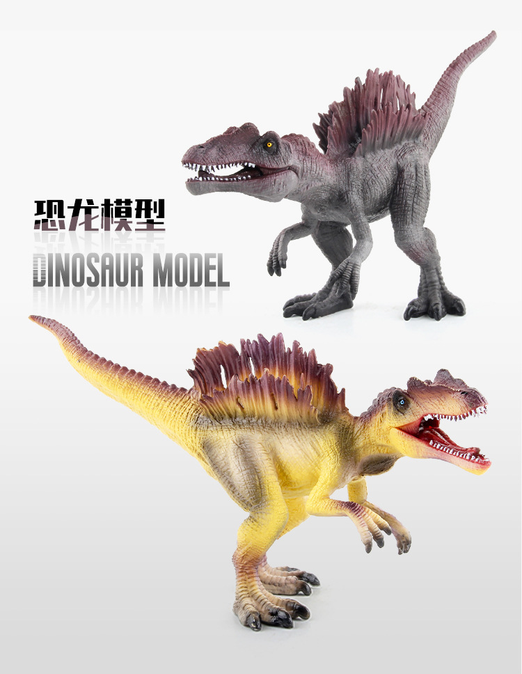详情_01.jpg