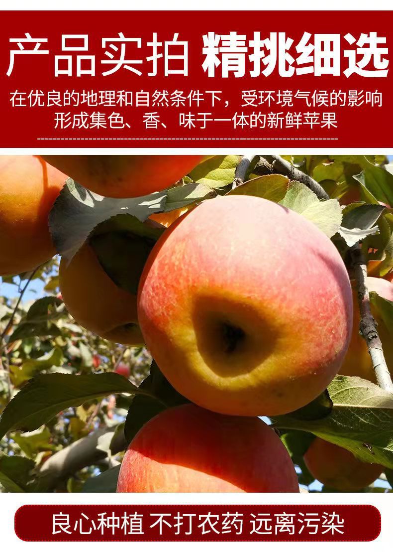 微信图片_202111062048198