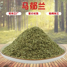 现货批发马郁兰甘牛至西餐调料香菜籽西餐炖肉调味料马玉兰甘牛至