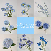 �{ɫϵ��c�û���Y���þƵ겼���߼����̈��쾰���÷��滨���Q