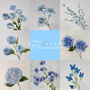 �{ɫϵ��c�û���Y���þƵ겼���߼����̈��쾰���÷��滨���Q