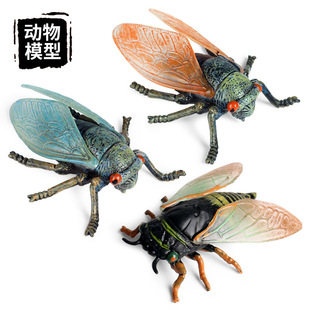 �羳��ͯ�������ģ����ߔ[���o�B����Ұ�����x�s֪�˽��s̈́�i