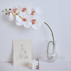 7頭3D蝴蝶蘭仿真花歐式塑料花居家軟裝單枝手感膠蝴蝶蘭批發零售