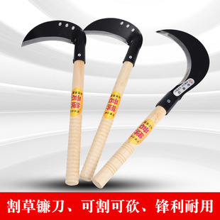 �i��h��砵��r�ø�ݵ���Ȳ��P䓳��ݿ��񵶑�����~����砵�