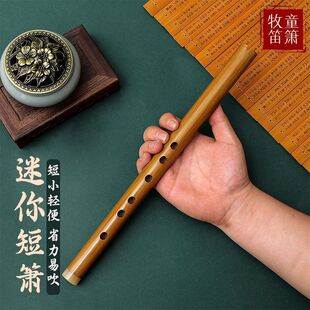 短萧入门六F调初学萧乐器零基础洞箫便携苦竹高级迷你小笛子古风-阿里巴巴