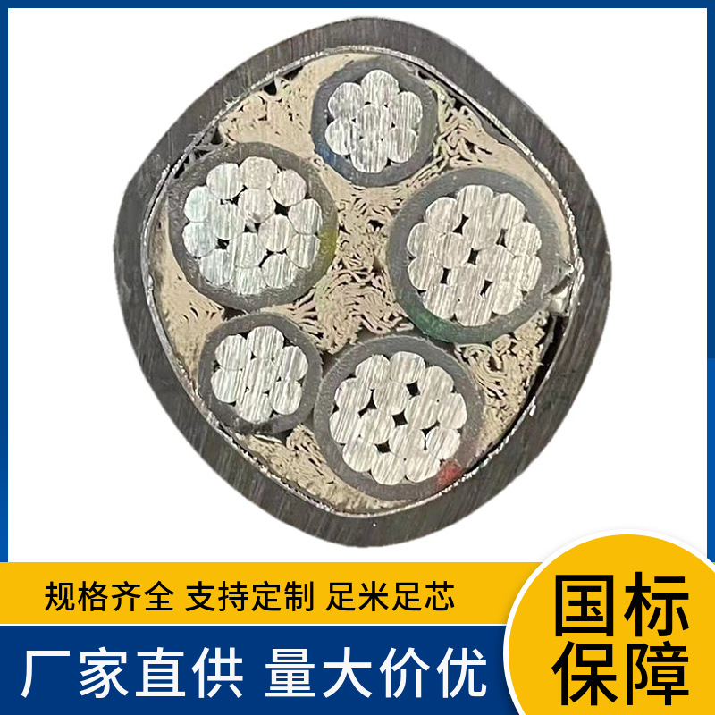 VLV22铝芯聚氯乙烯绝缘内钢带铠装护套电力电缆防腐蚀电线
