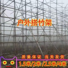 拉树神器瓜果树胶绳子塑料绳pp搭竹架建筑打包装捆绑大棚园林