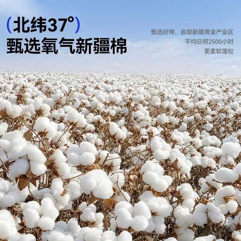 棉柔巾新生婴儿专用一次性洗脸巾加厚加大纯棉全棉美容院擦脸洁面