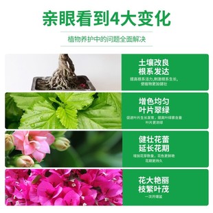 g��500g����ͨ�û�����ð���و@ˇ30�����ۻ��ܻ����ϻ����_��