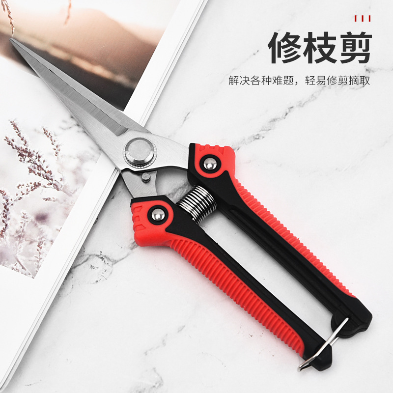 Stainless steel pruning shears, rare fruit scissors, chili pepper scissors, dragon fruit scissors, fruit picking shears, vegetable and fruit shears, pepper scissors