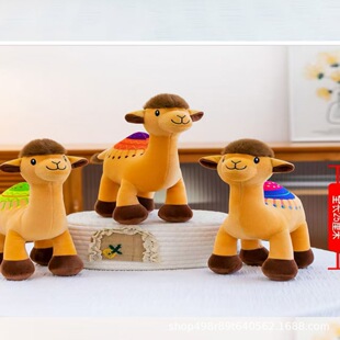 ����8��ץ�C���� �R�������� ������� ˮ�� ʳ��ë�q��� �h��