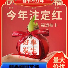 һ�����l�M����피tϞ���ذ���피tϞ��N��Y���҃��̨�Gֲ����